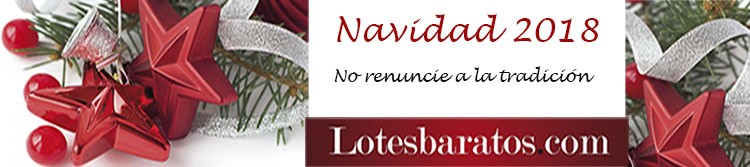 Lotes baratos